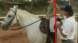 Postura Correta Montar e Andar à cavalo  Cavalos Helio Rocha