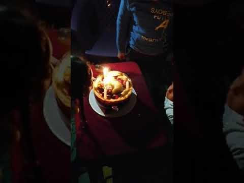 عيد ميلاد فيلوباتير 🎉 🎊 🎉