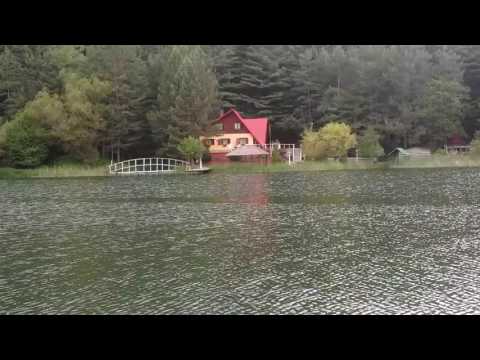 Lacul Valea Minis (Gura Golumbului)