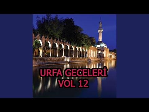 Bu Ne Güzel Bir Düğün