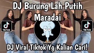 Download lagu DJ TAKABEK GADIH RANTAU | BURUNG LAH PUTIH MARADAI TREND JOGET ASYIK BARENG TEMAN VIRAL TIKTOK 2026 mp3
