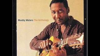 Muddy Waters - Sitting And Thinking Live! 60's