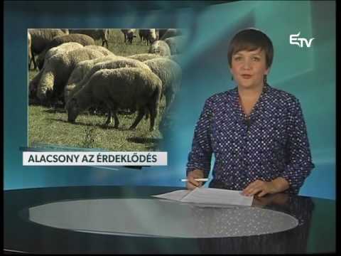 Híradó 2016. október 4. – Erdélyi Magyar Televízió