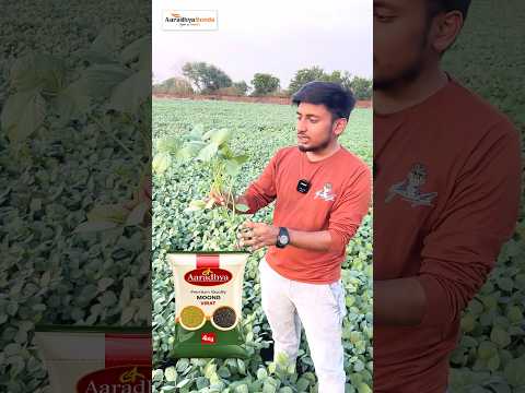 Farmer Experience