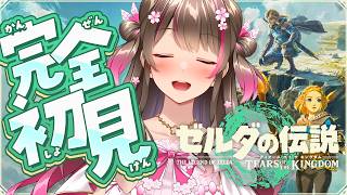 完全初見で『ゼルダの伝説 ティアーズ オブ ザ キングダム』の世界へ！新しい冒険のはじまりだ！【Switch2版 #22】