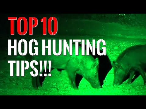 Top 10 Hog Hunting Tips!!!  |  Guaranteed to Bring in Hogs!