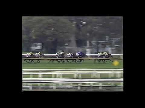 1990 Rosehill Guineas - Solar Circle