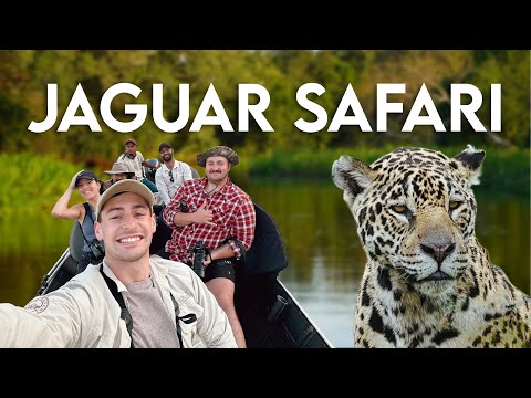 Finding Jaguars in the Pantanal (Brazil Safari VLOG)
