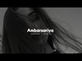AMBARSARIYA - (slowed + reverb)