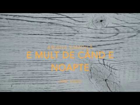 Ariana Samoilă - E mult de când e noapte (lyric video)