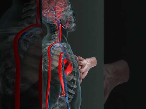 CPR #cpr #emergency #firstaid #cardiology #heart #lifeordeath #shorts #youtubeshorts