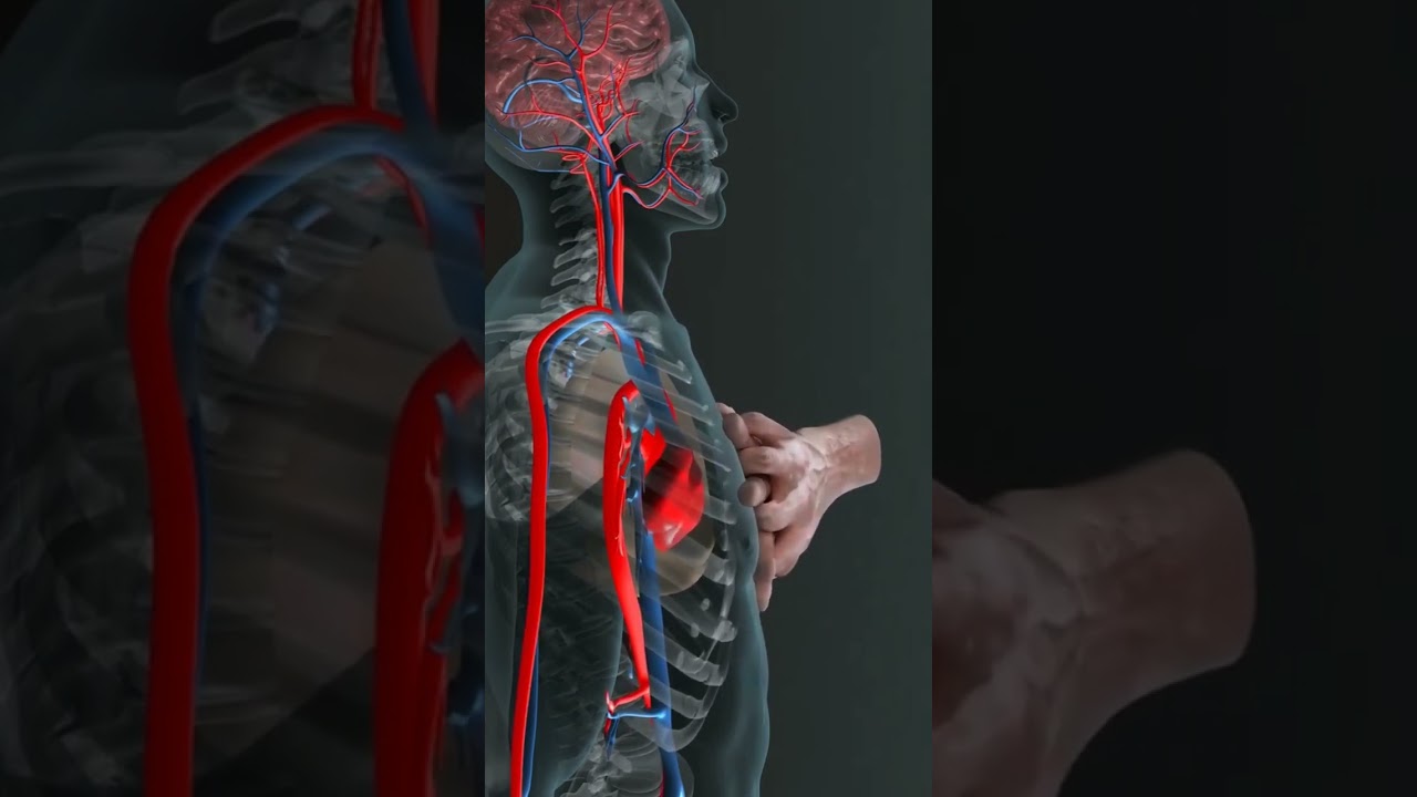 CPR #cpr #emergency #firstaid #cardiology #heart #lifeordeath #shorts #youtubeshorts