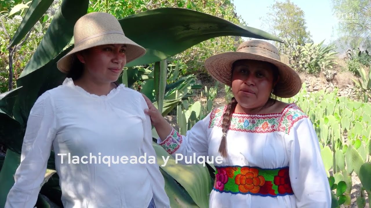 La Noble Labor de la Tlachiqueada