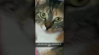 Download lagu this is my video I just made it on snap mp3