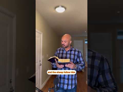 Day 207 John Chapter 10 verses 1-10 Jesus the True Shepherd