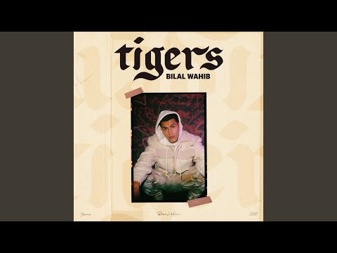 Tigers