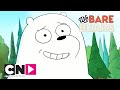 Wat Beren Leren | Zo koelbloedig als IJsbeer | Cartoon Network