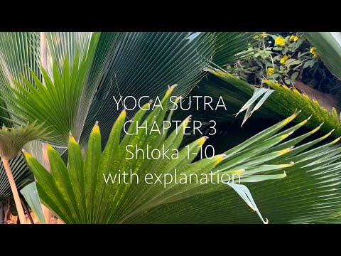 Yoga Sutras 3.1 to 3.10 Explained | Mastering the Mind: The Practices of Dharana to Nirodha