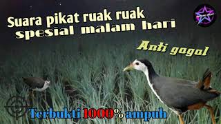 Download lagu Suara pikat ruak ruak spesial malam hari || Bintang pikat. mp3 Download lagu Suara pikat ruak ruak spesial malam hari || Bintang pikat. mp3