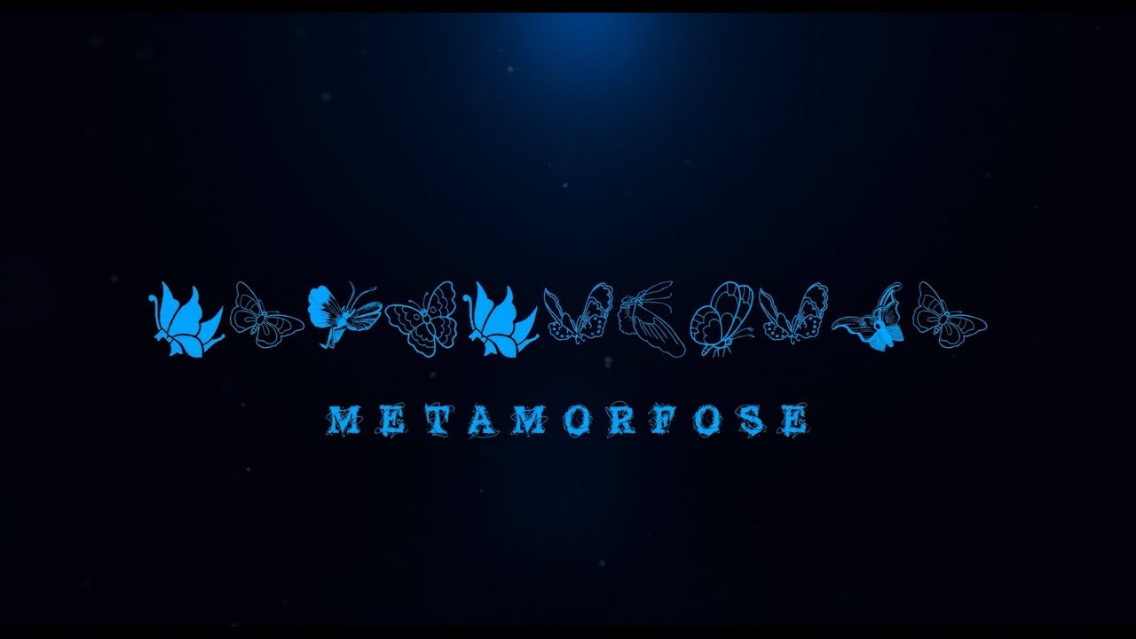 Miniature de la vidéo Metamorfose du film Metamorfose