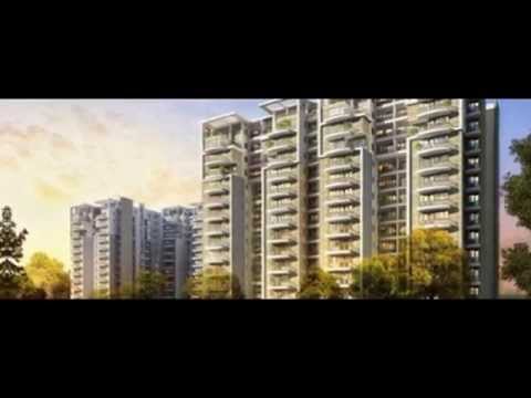 Walkthrough Walkthrough