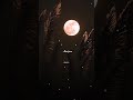 Mulveliya Mullai Poova Nilave Vaa Whatsapp Status