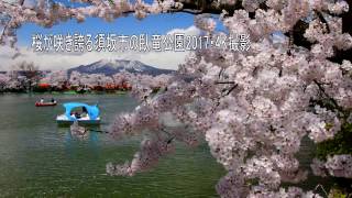 臥竜公園　日本さくら名所100選