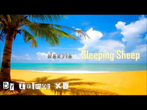ฝันหวาน - Sleeping Sheep