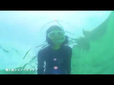竜ヶ浜シュノーケリング体験
