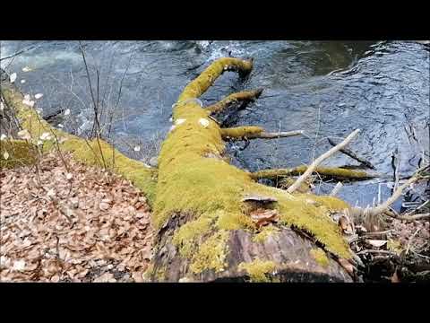 LES CHANTS VIRTUELS - Track 36 " Drawa " - Tomasz Pauszek & Piotr Słowiński ( EMOsynth )