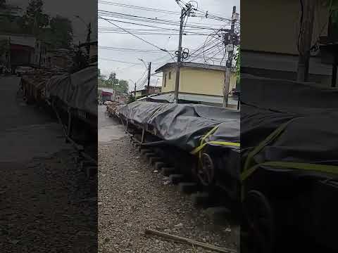 Petro regresó vias ferreas a Colombia / Tren La Dorada - puerto Berrio - Santa Marta