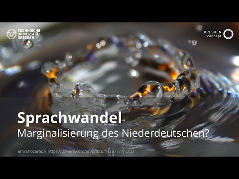 Marginalisierung des Niederdeutschen? (VL "Sprachwandel") (TU Dresden // GSW)