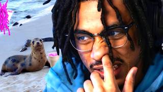 Dutie Reacts to Bleood - i love seals (Music Video)