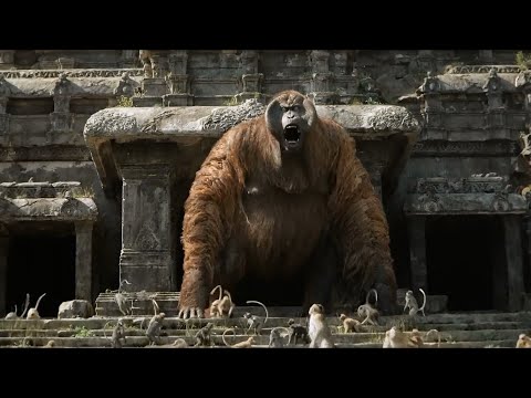 The Jungle Book (2016) Wrath of the King Lou