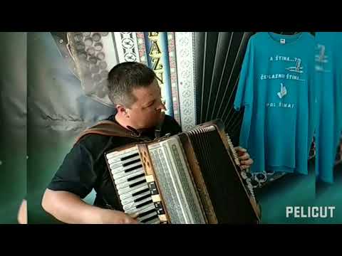 ALPENGOLD SINOVA 4120M- PLAZNIK STIMA