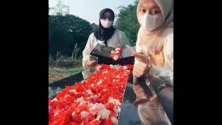 Download lagu Kurang ajar !!! Main tik tok di kuburan ayah. mp3