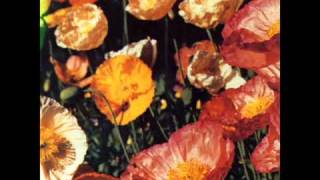 The Sneetches - Things We'll Never See