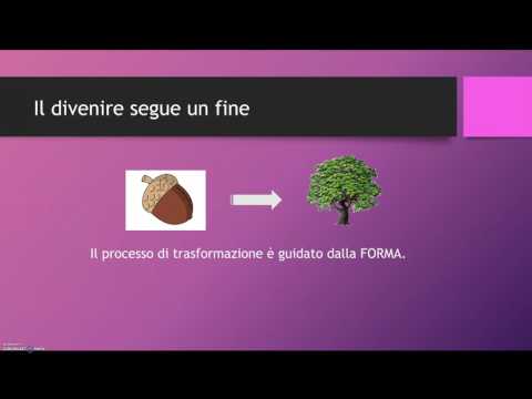 Effetto del cervello sulla potenza Girl Video patogeno spillo pony