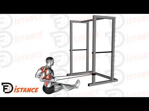 Exercice Rowing assis avec élastiques