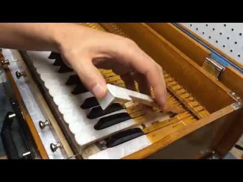 Harmonium Repair: How to fix a sticky key