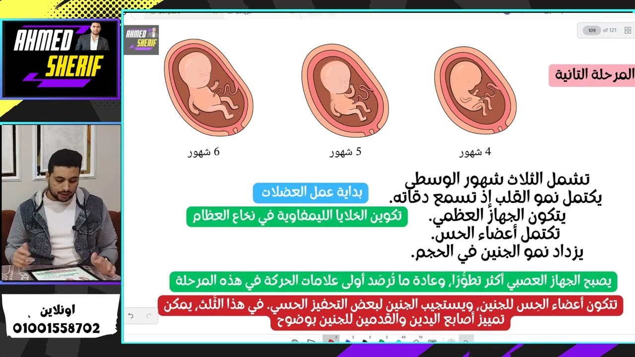 شرح مراحل الحمل والولادة والرضاعة