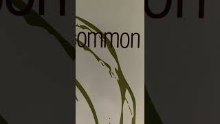 Common Nuthin to do on Resurrection album Hip Hop Vinyl