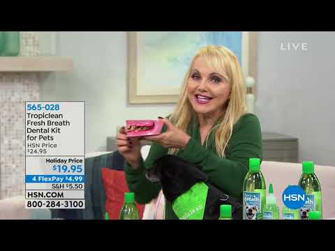 HSN | Gifts For Pets 10.12.2018 - 06 AM