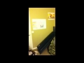 Mr Whiskers Brutal Deaths