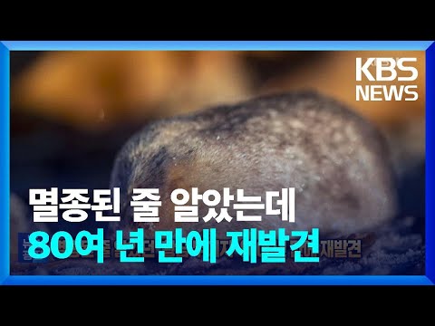 아이콘