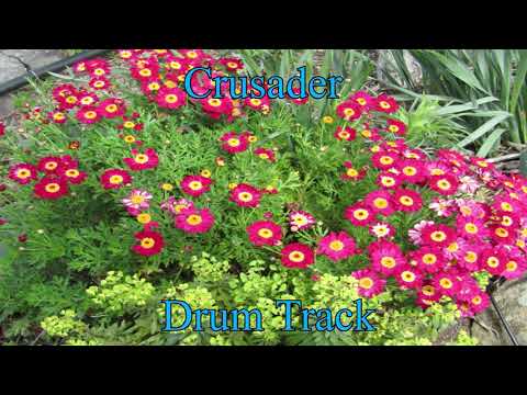 Crusader - Drum Track