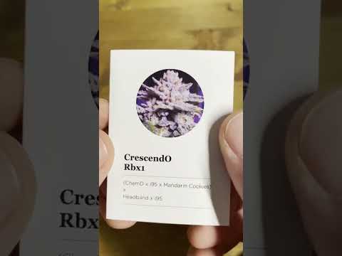 Crescendo RBx1 Unboxing