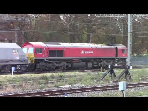 Class 59 - EMD 645 engine idle sounds- 59203 at Watford Junction