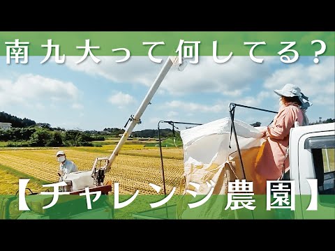 【チャレンジ農園2022】稲刈り①【稲作部門】
