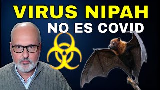 VIRUS NIPAH: Por qué preocupa a los médicos (La Verdad)